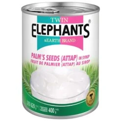 Twin Elephants & Earth Brand Palm Seeds (Attap) In Syrup 620g
