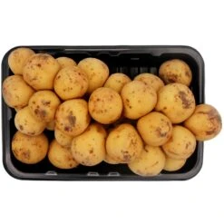 Fresh Thai Long Kong 500g