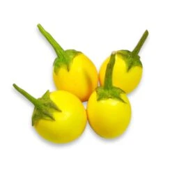 Fresh Yellow Eggplant (Thai) 200g