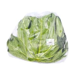 Fresh Papaya Leaf (Thai) 200g